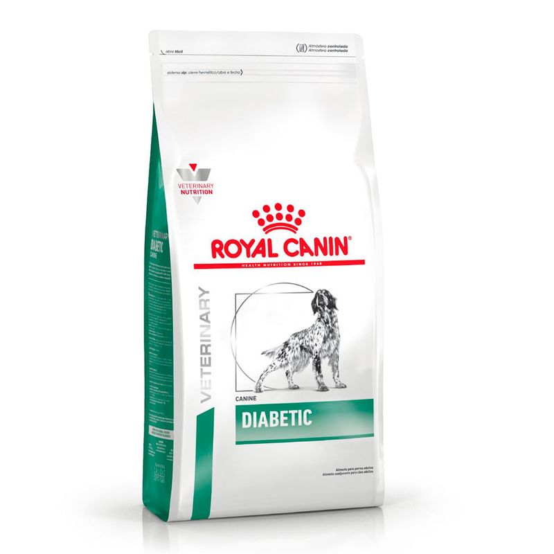 diabetic-dog