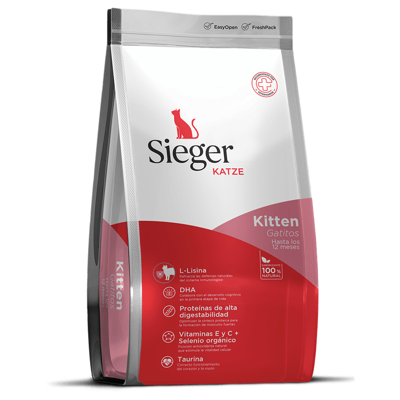 01.-SiegerKatze-Kitten