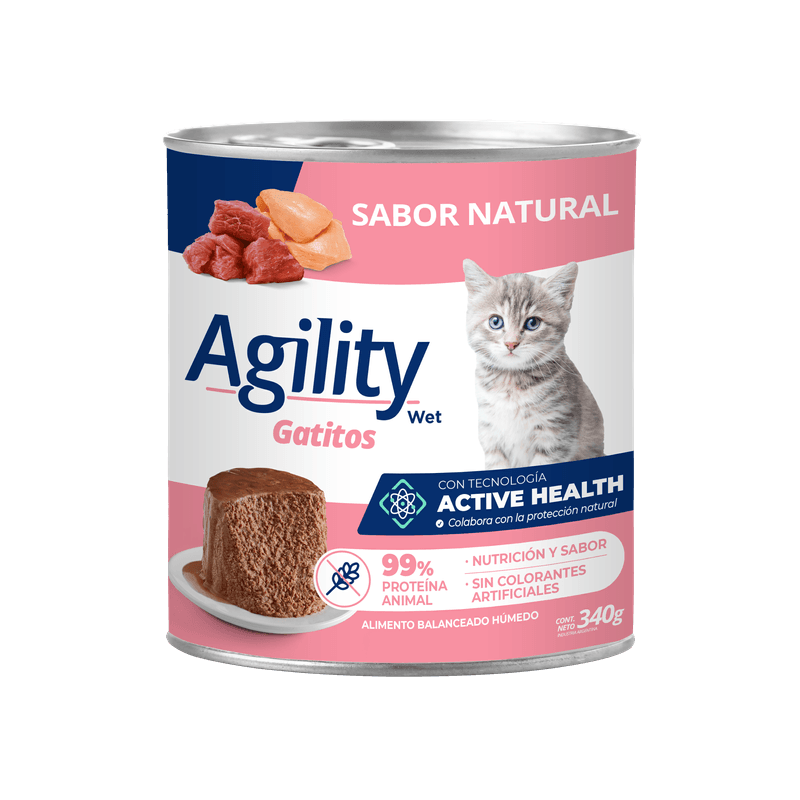 AgilityGato_Gatitos