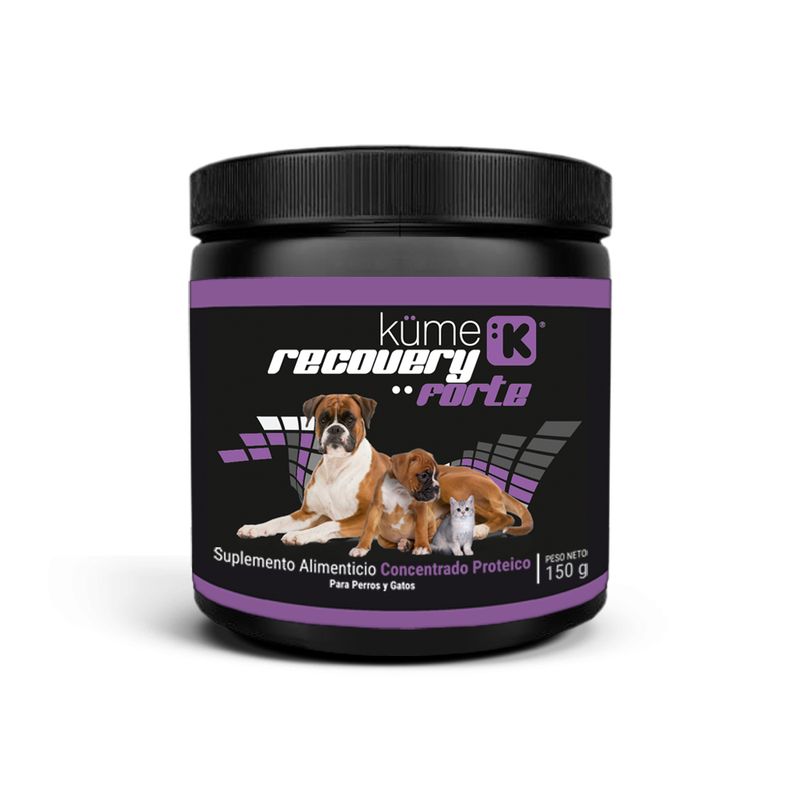 Kume-Recovery