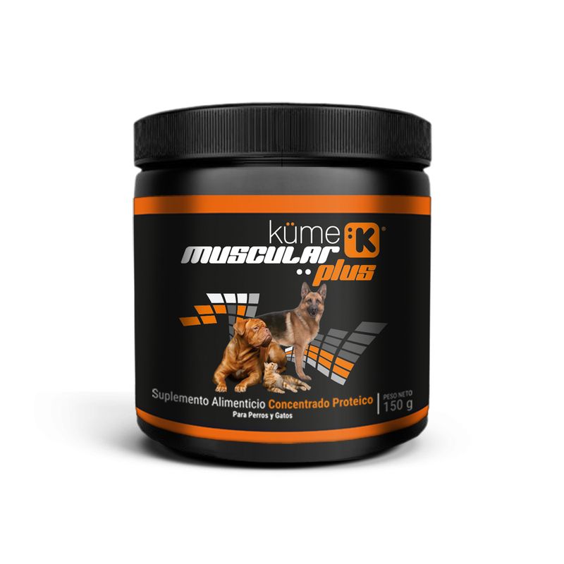 Kume-Muscular