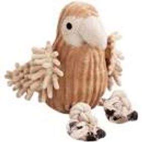 Pajaro Dog Molar
