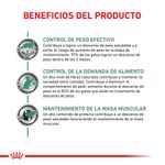 Beneficios-Satiety
