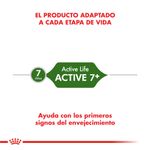 Active-7--etapas