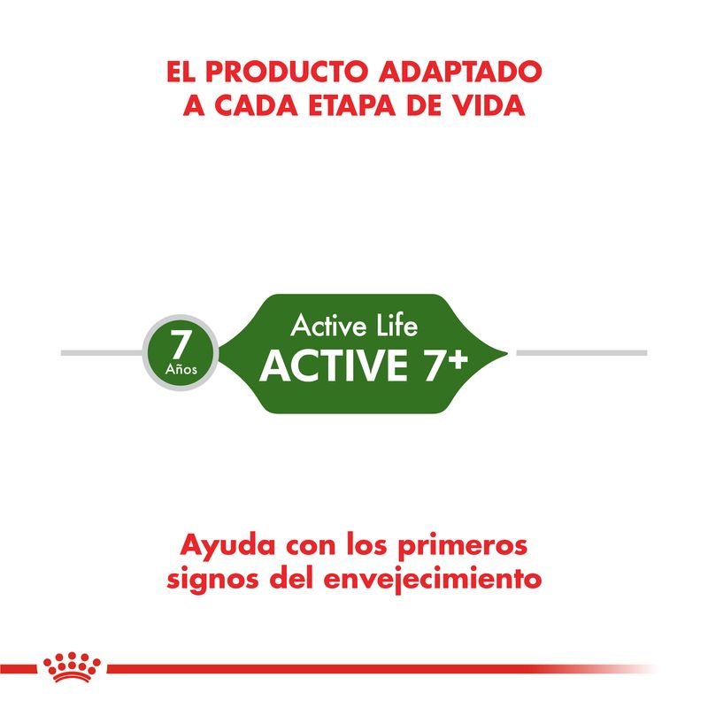 Active-7--etapas