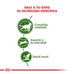 Active-7--caracteristicas