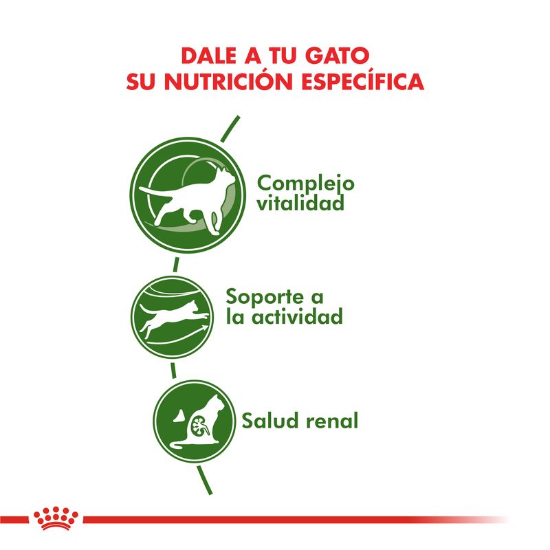 Active-7--caracteristicas