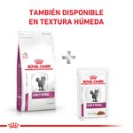 Early-Renal-Combinado-con-Pouch