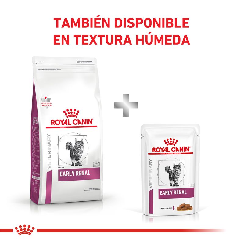 Early-Renal-Combinado-con-Pouch