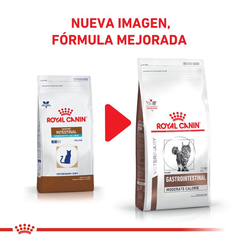 Cambio-Gastrointestinal-Moderate-Calorie-Feline