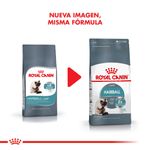 Cambio-Hairball