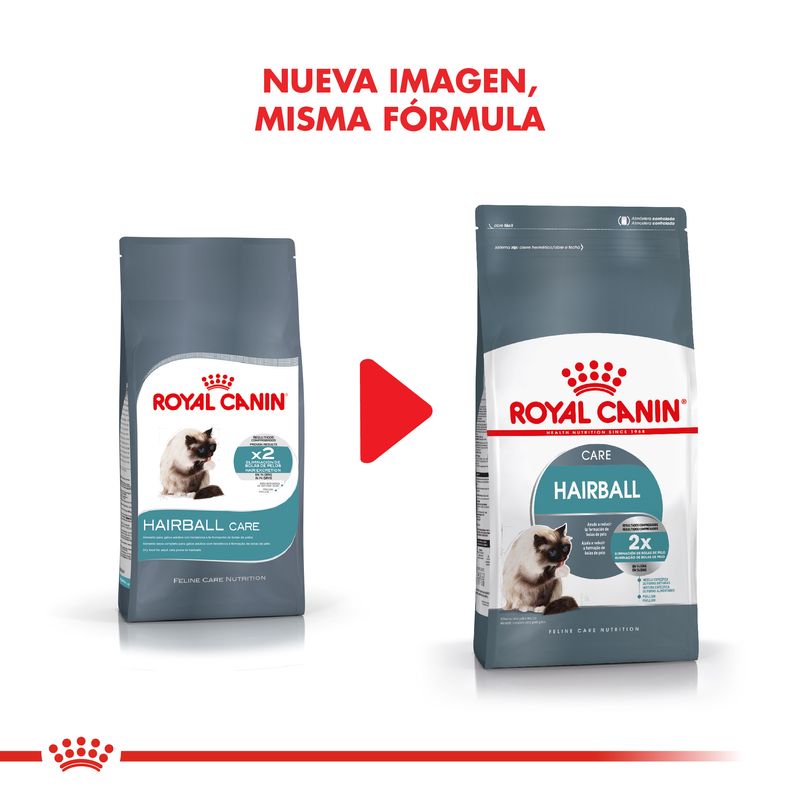 Cambio-Hairball