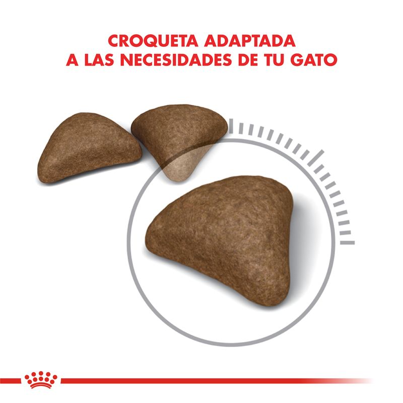 Croqueta-Hairball