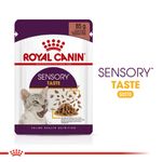 Sesnory-Tastge-Pouch