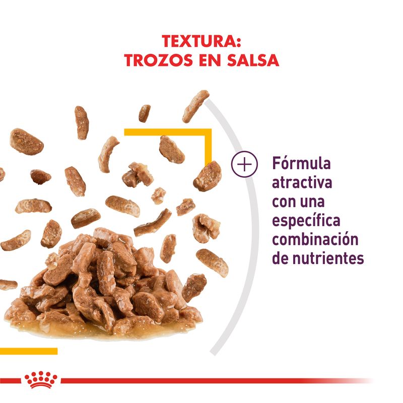 Sensory-Taste-Textura