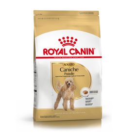 Royal Canin Caniche Adulto
