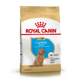 Royal Canin Caniche Puppy 1 kg