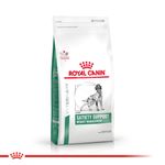 Satiety-Canino-15-kg