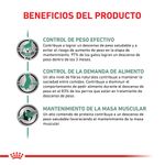 Satiety-Canino-Beneficios