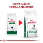 Satiety-Cambio-Imagen