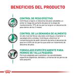 Satiety-SD-Beneficios