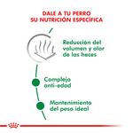 Mini-Indoor-beneficios