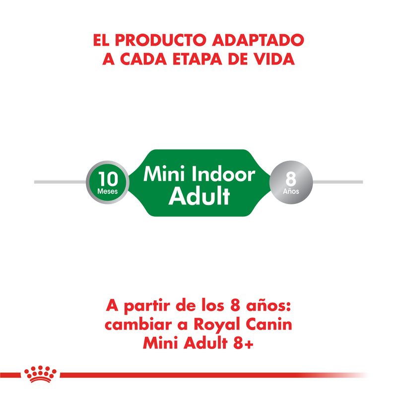 Mini-Indoor-cambio-8-