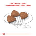 Croqueta-Mini-Indoor