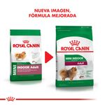 Mini-Indoor-cambio-imagen