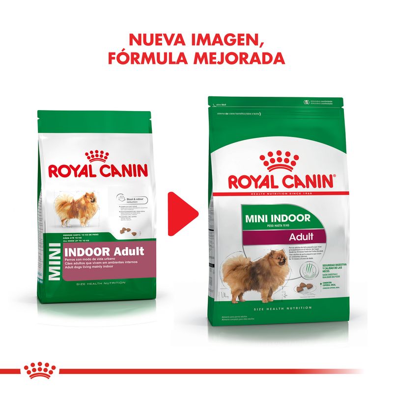 Mini-Indoor-cambio-imagen
