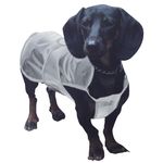Imperemeable-Transparente-en-Perro
