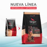 Sieger-Antes-y-ahora