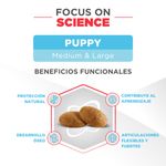 Sieger-Puppy-MyL-beneficios