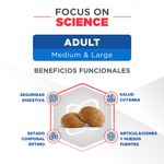 Sieger-Ad-MyL-beneficios