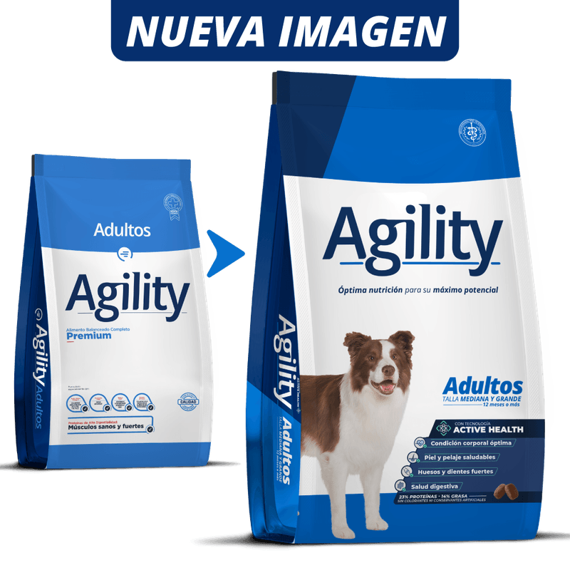 AgilityDigital_3