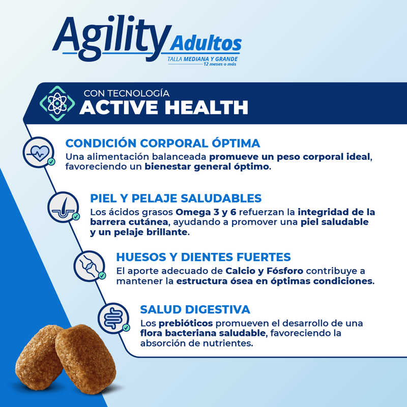 AgilityAdultos