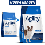 AgilityDigital_3