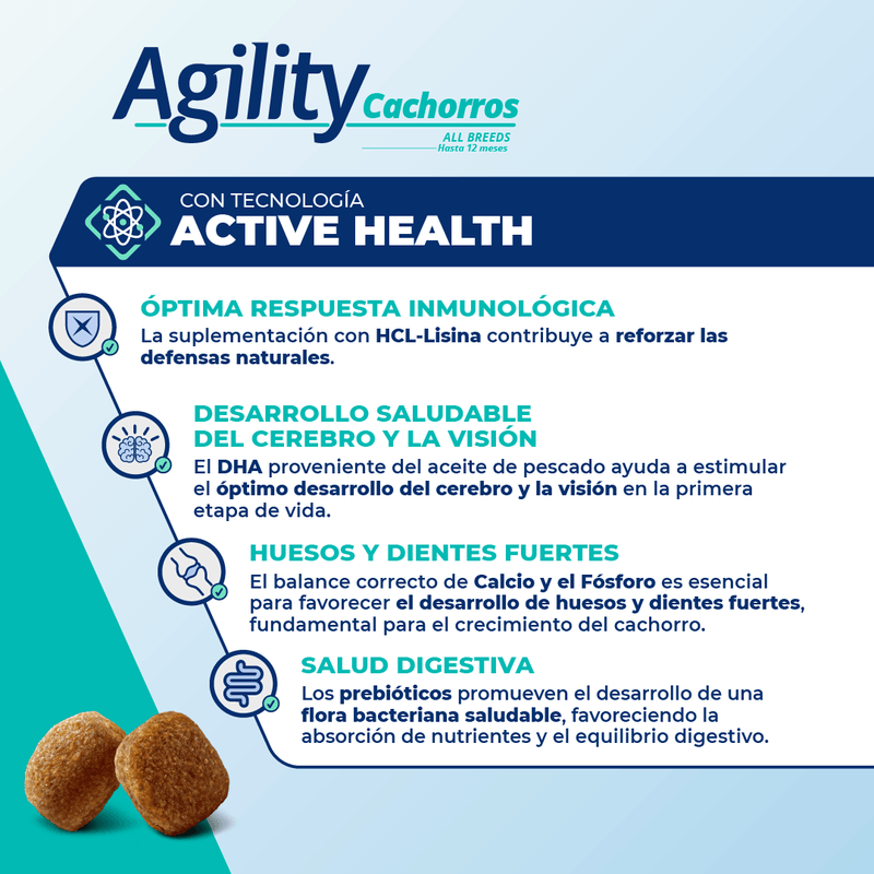 AgilityCachorros