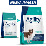 AgilityDigital_4