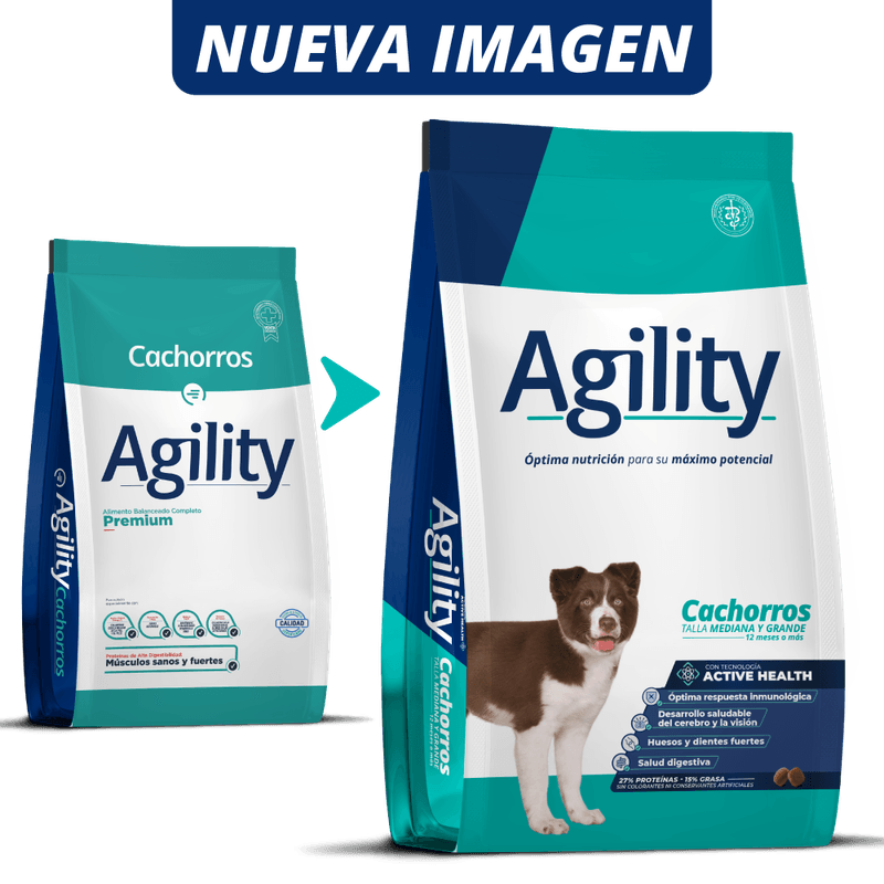AgilityDigital_4