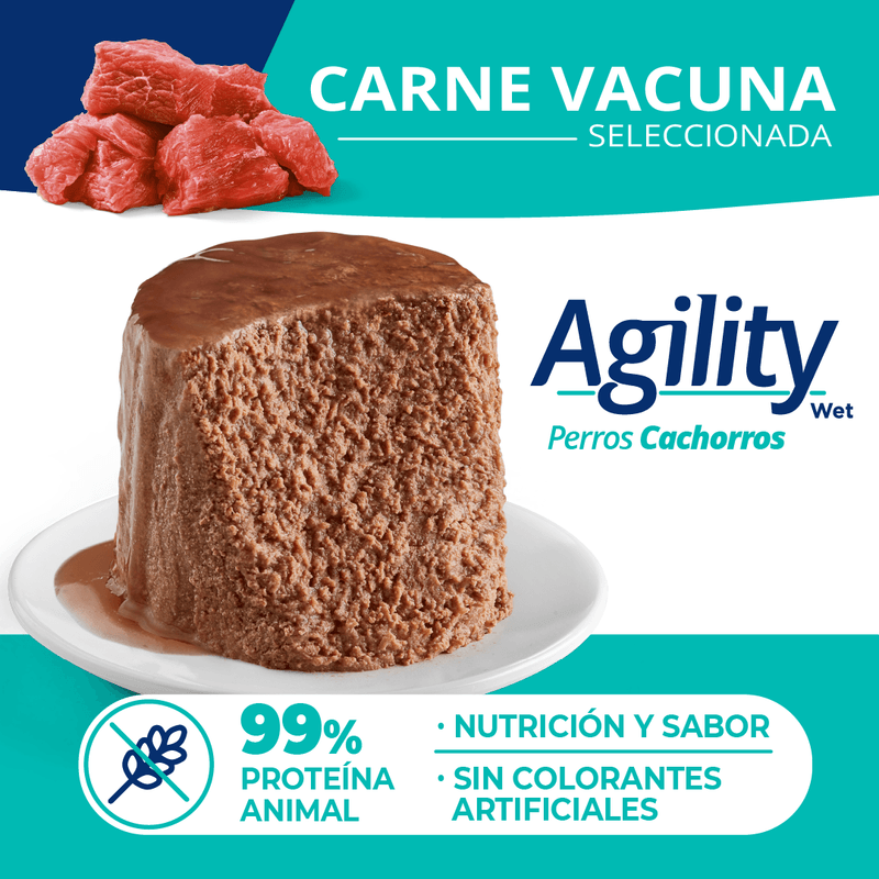 AgilityCachorros