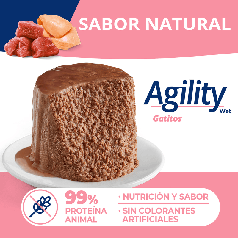 AgilityGatoKitten