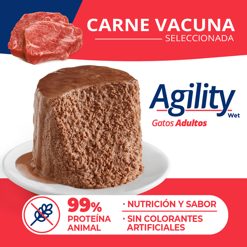 AgilityGato