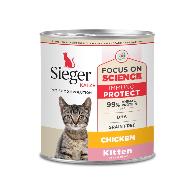 Sieger-Katze-Kitten-