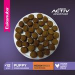 Euka-Puppy-MB--Croqueta