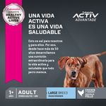 Euka-Ad-LB-Advantage