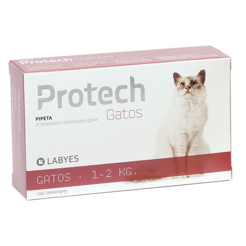 Protech-gatos-1-a-2