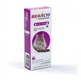 Bravecto Gatos 6.25 a 12.25 Kg