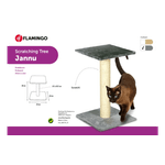Jannu-gato