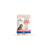Sieger-Katze-Ad-Pouch
